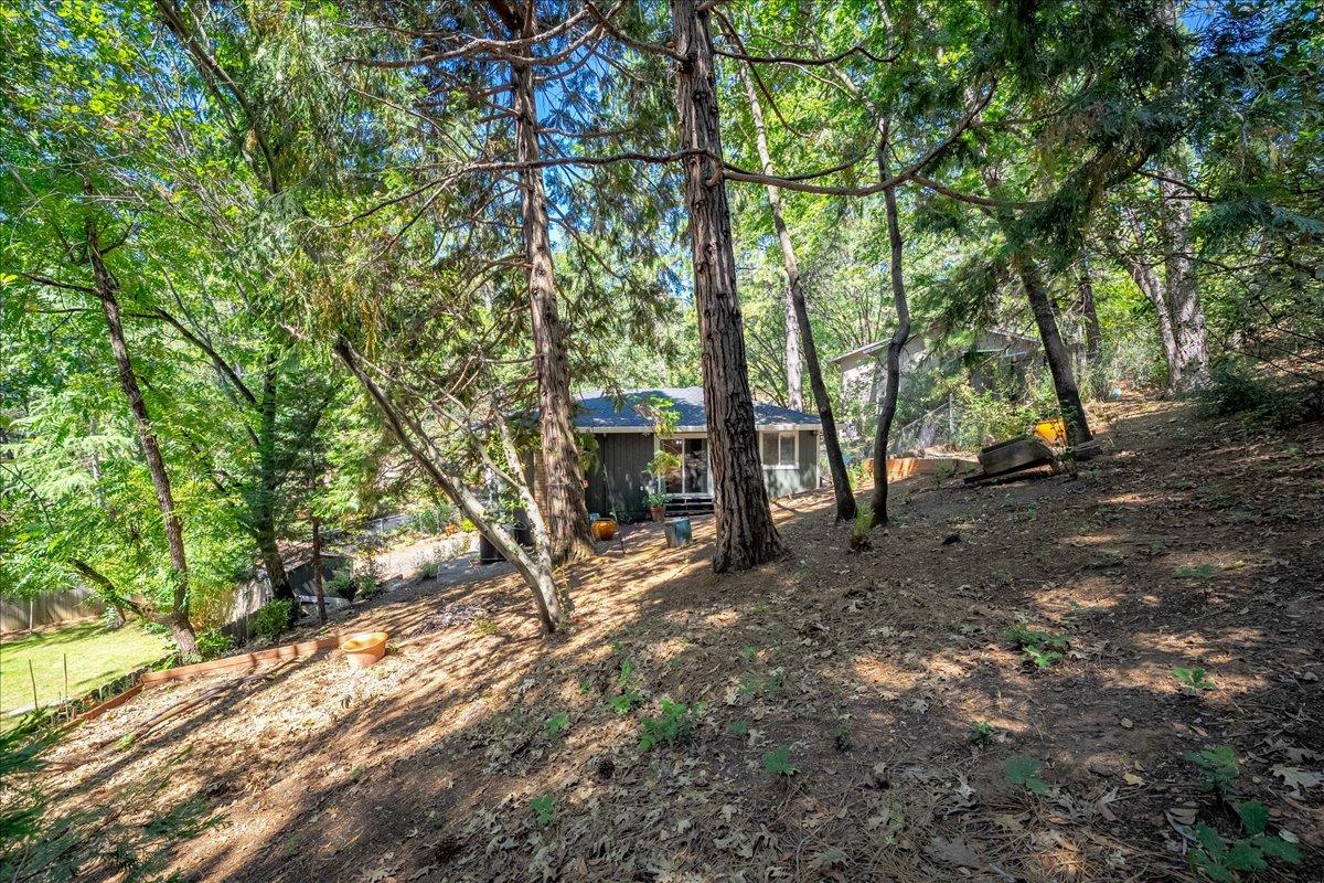 2939 Letitia Avenue Placerville, CA 95667 - Photo 42 of 59