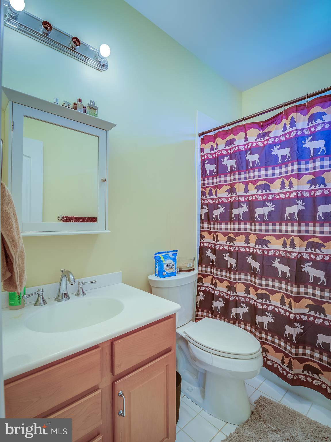 15650 Nelson Perrie Road Brandywine, MD 20613 - Photo 38 of 41 Second bathroom