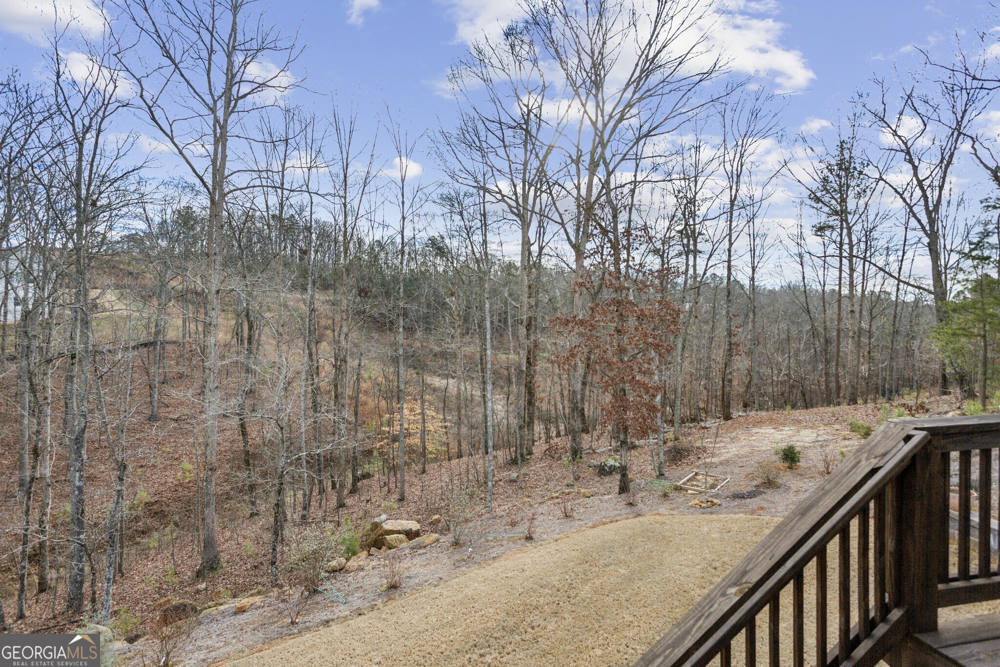 20 Bluestone Way Northeast Cartersville, GA 30121 - Photo 46 of 55 Backyard