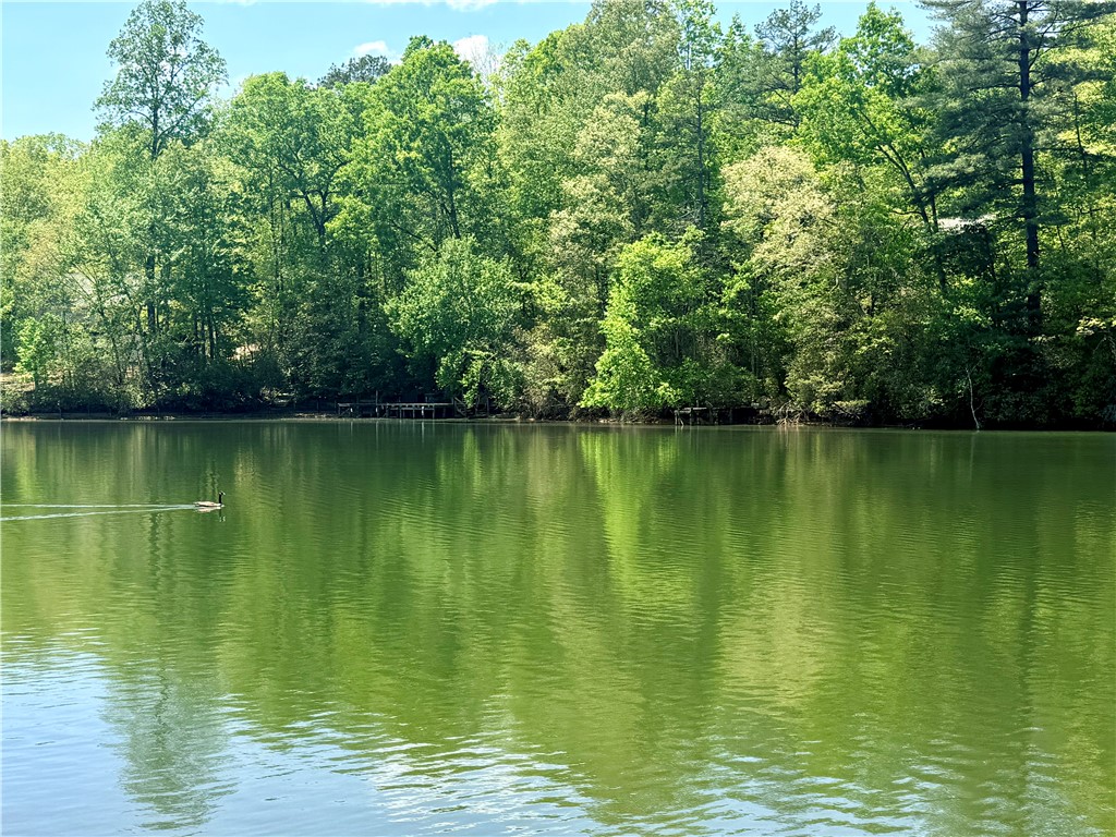 213 Bonner Road Mountain Rest, SC 29664 - Photo 22 of 37