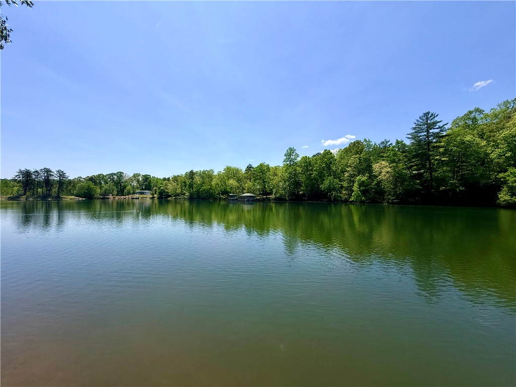 213 Bonner Road Mountain Rest, SC 29664 - Photo 33 of 37