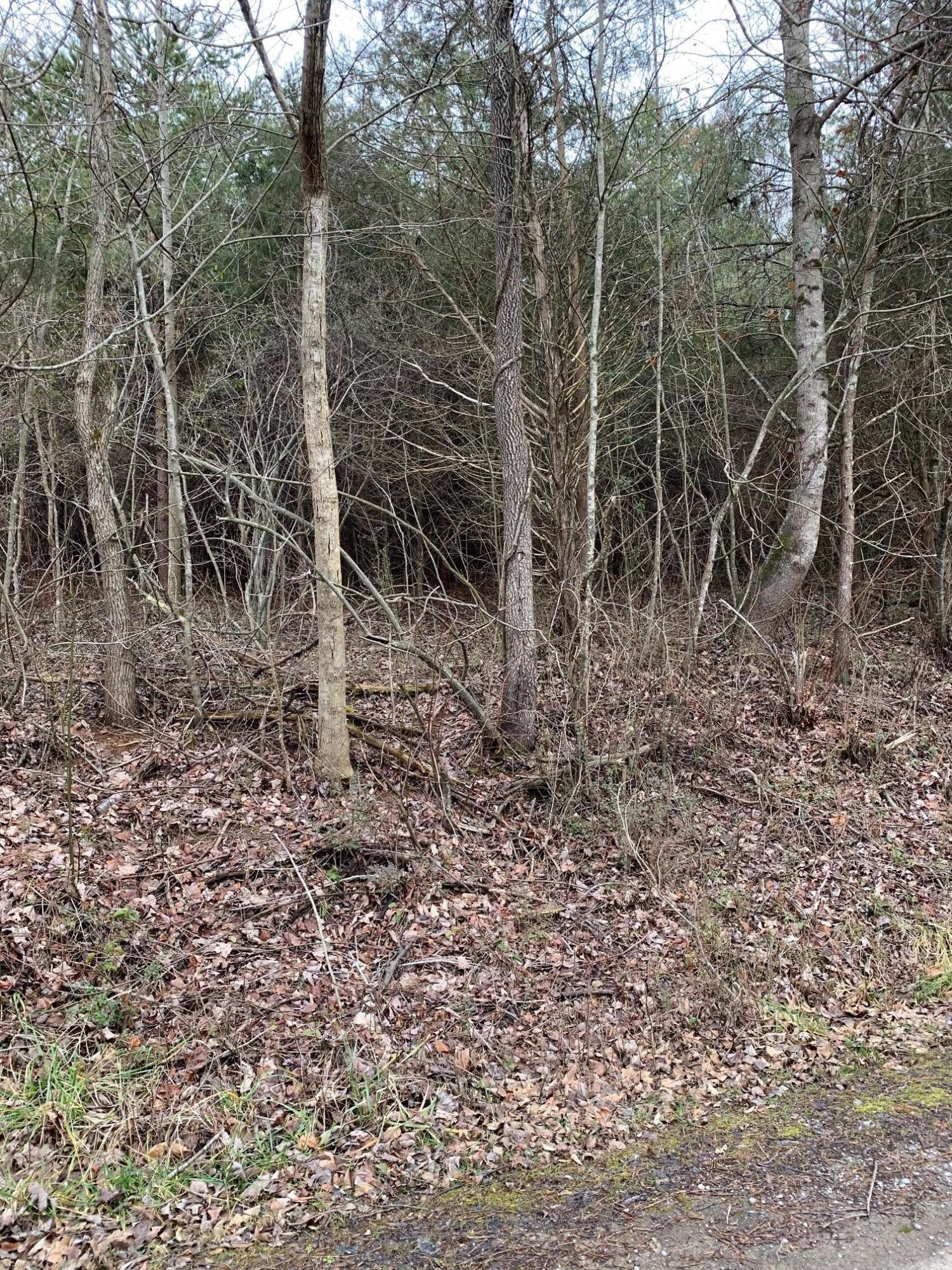 Lot 9 Brantley Acres Road Speedwell, TN 37870 - Photo 2 of 11 IMG_7429