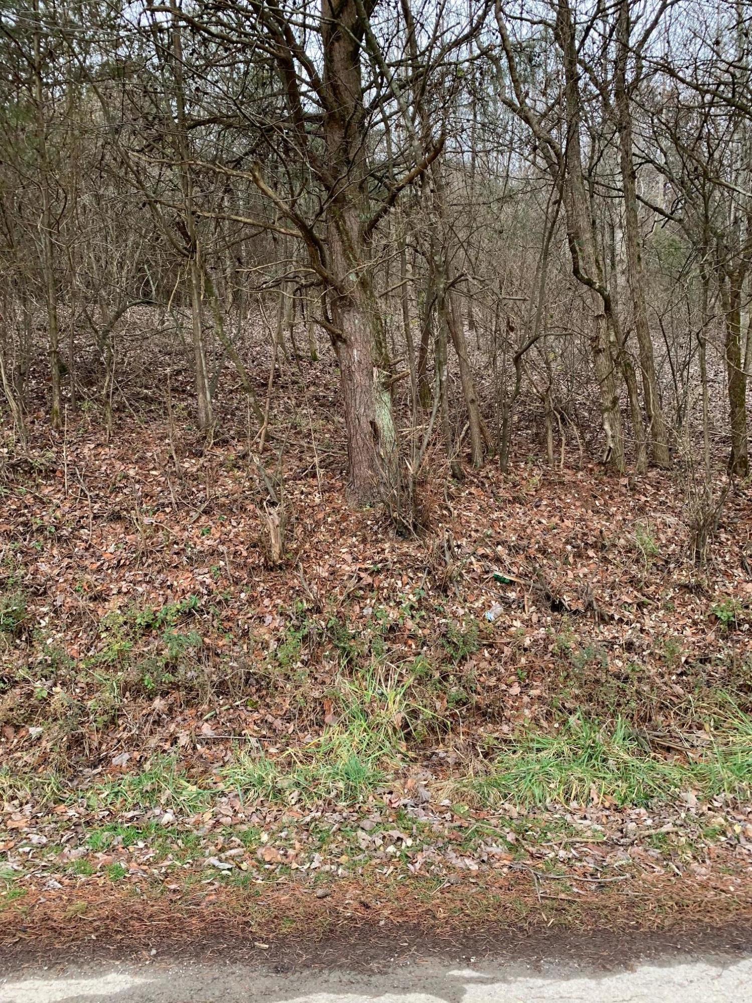 Lot 9 Brantley Acres Road Speedwell, TN 37870 - Photo 3 of 11 IMG_7430