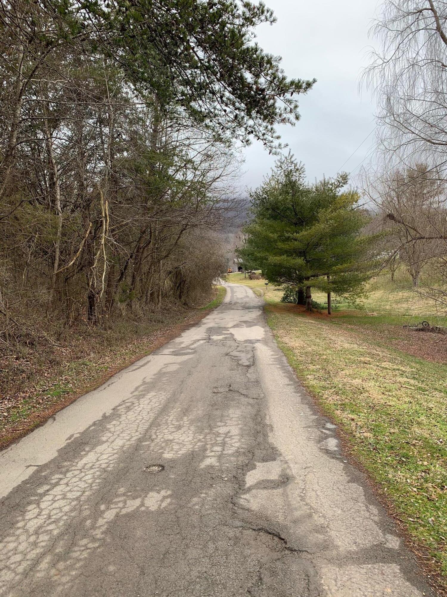Lot 9 Brantley Acres Road Speedwell, TN 37870 - Photo 6 of 11 IMG_7433