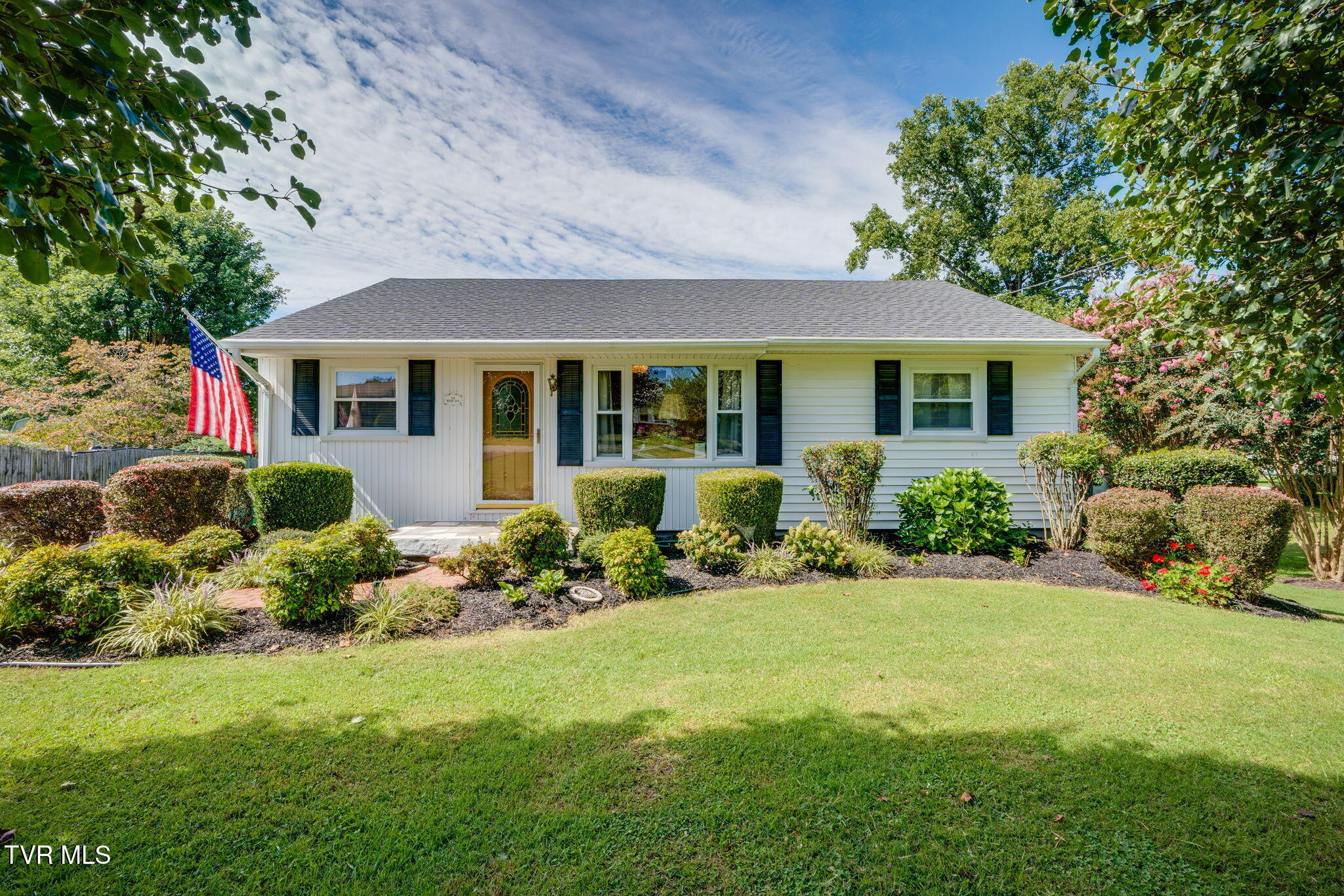 113 Reed Avenue Greeneville, TN 37743 - Photo 3 of 31 001 (13)