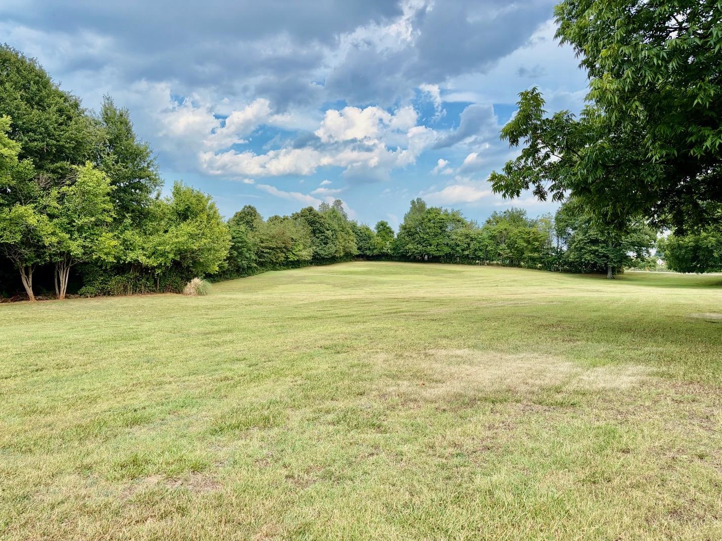 550 Martin Camp Road Chesnee, SC 29323 - Photo 42 of 47
