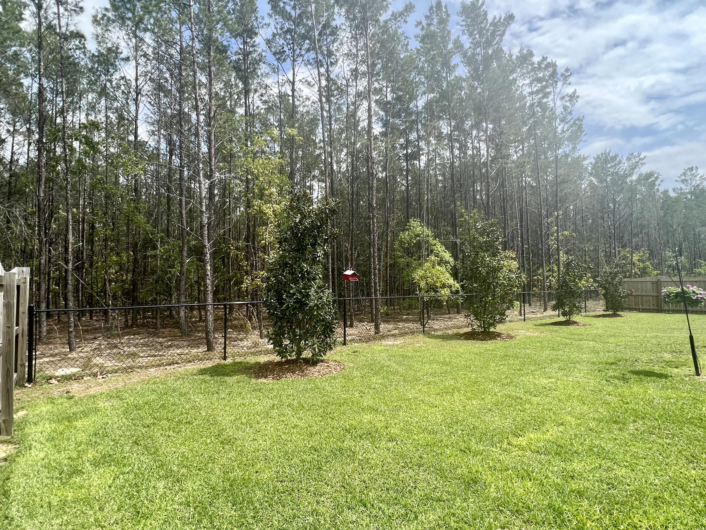 244 Perimeter Place Freeport, FL 32439 - Photo 72 of 72 Wooded lot