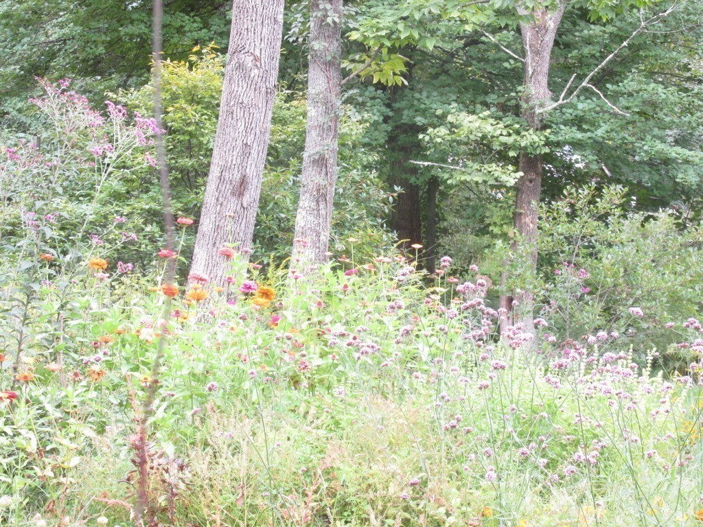 77 Benjamin Road Shirley, MA 01464 - Photo 27 of 30