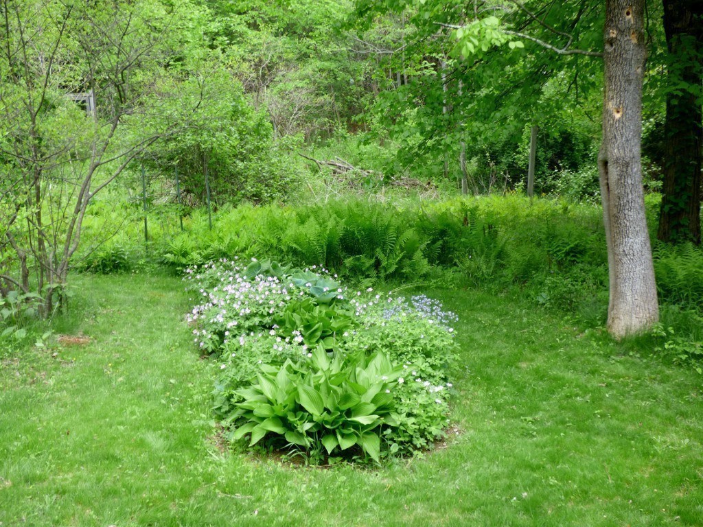 77 Benjamin Road Shirley, MA 01464 - Photo 29 of 30