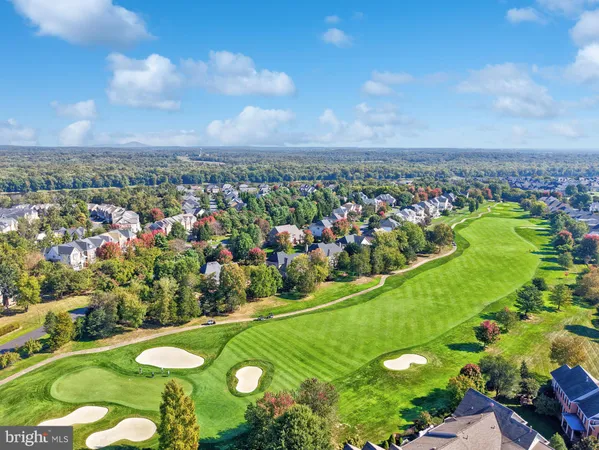 a view of backyard with wooden fence and a large tree