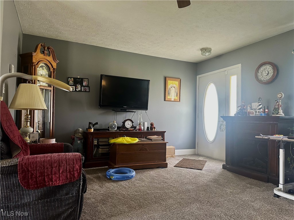 1826 East Morgan Meaney Road Jefferson, OH 44047 - Photo 7 of 22