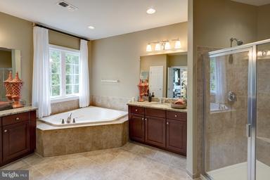 12360 Henderson Road Clifton, VA 20124 - Photo 7 of 9 Luxury Soaking Tub and Separate Shower