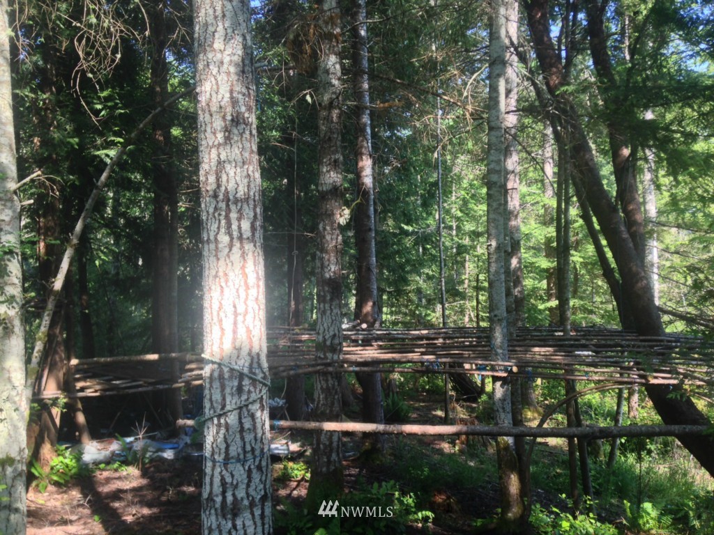 999 L Lee Valley Road Quilcene, WA 98376 - Photo 2 of 11 Gallery Image 2