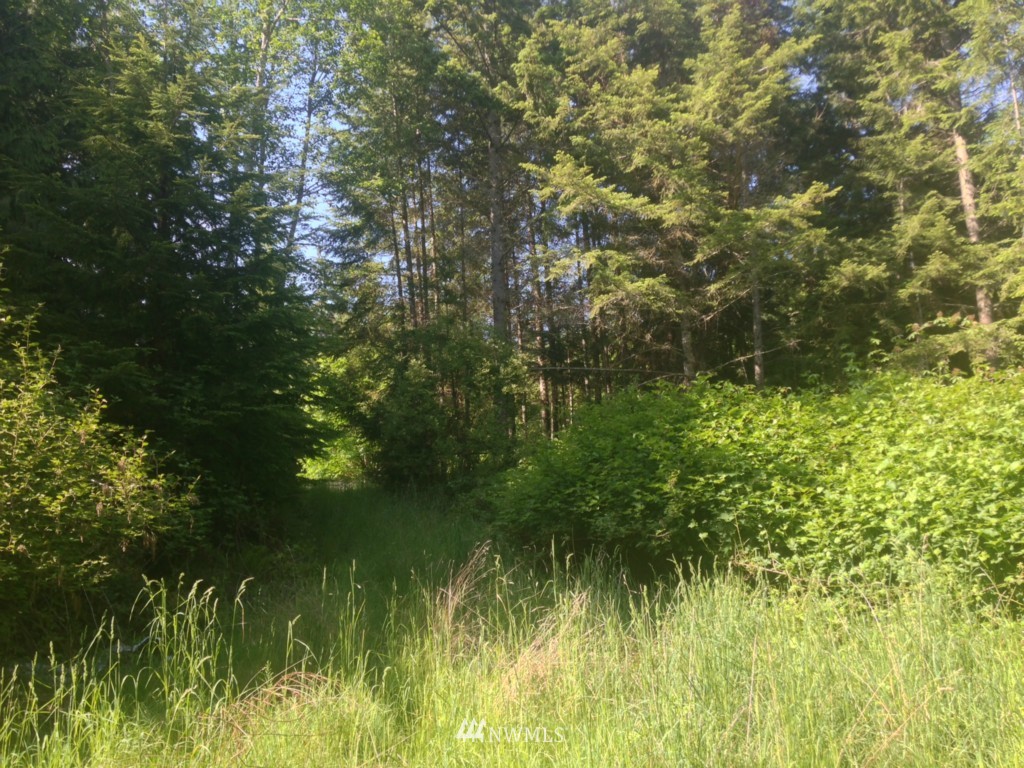 999 L Lee Valley Road Quilcene, WA 98376 - Photo 4 of 11 Gallery Image 4