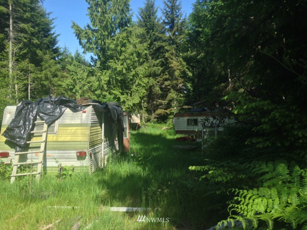 999 L Lee Valley Road Quilcene, WA 98376 - Photo 5 of 11 Gallery Image 5