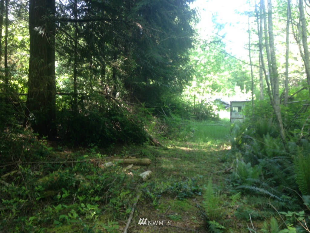 999 L Lee Valley Road Quilcene, WA 98376 - Photo 8 of 11 Gallery Image 8