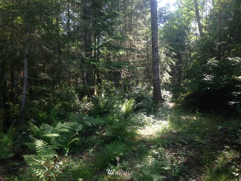 999 L Lee Valley Road Quilcene, WA 98376 - Photo 10 of 11 Gallery Image 10