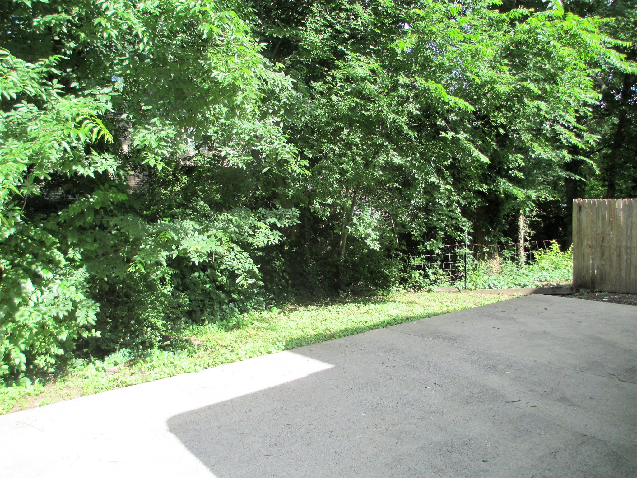 3208 Cedar Ridge Road Nashville, TN 37214 - Photo 17 of 18 Wooded back yard