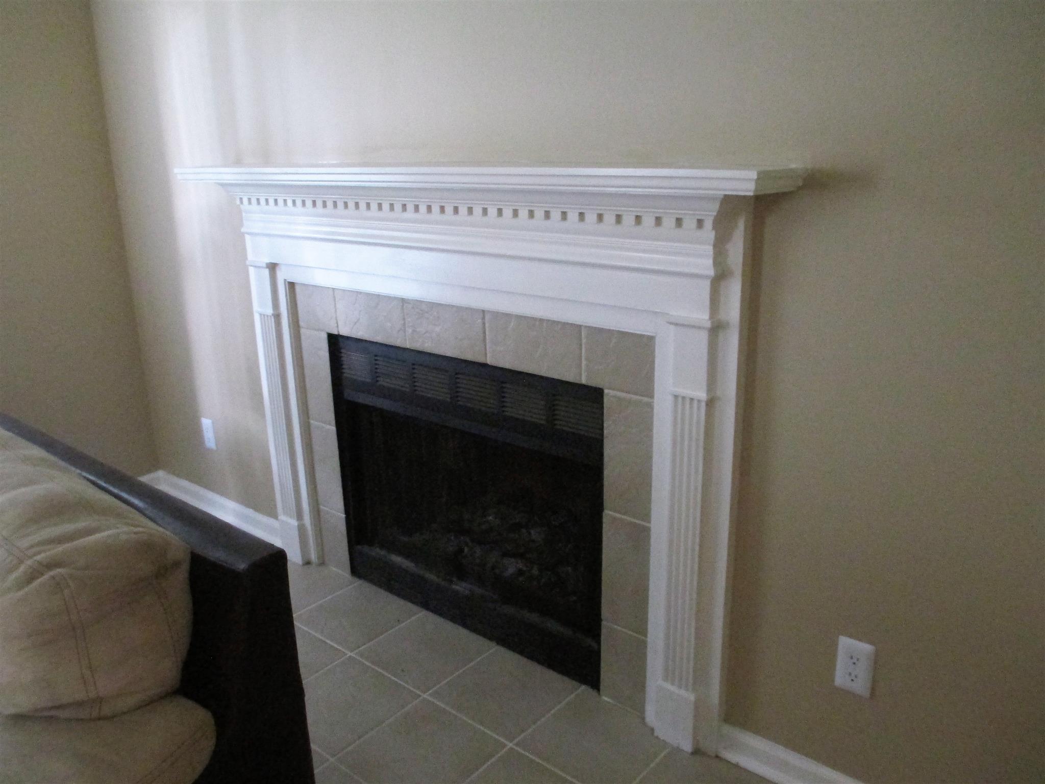 Wood burning fireplace