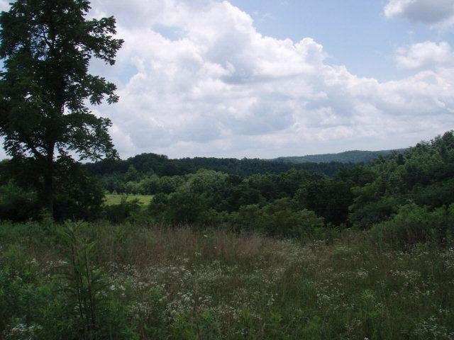 99999 Cain Cemetery Road McKee, KY 40447 - Photo 2 of 9 Photo 2