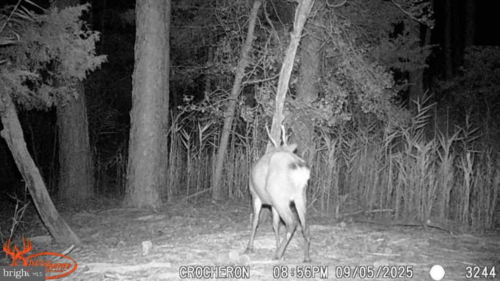 Brady Todd Road Crocheron, MD 21627 - Photo 107 of 111