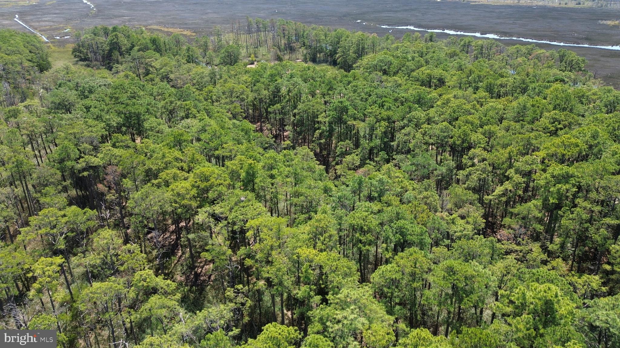 Brady Todd Road Crocheron, MD 21627 - Photo 16 of 111