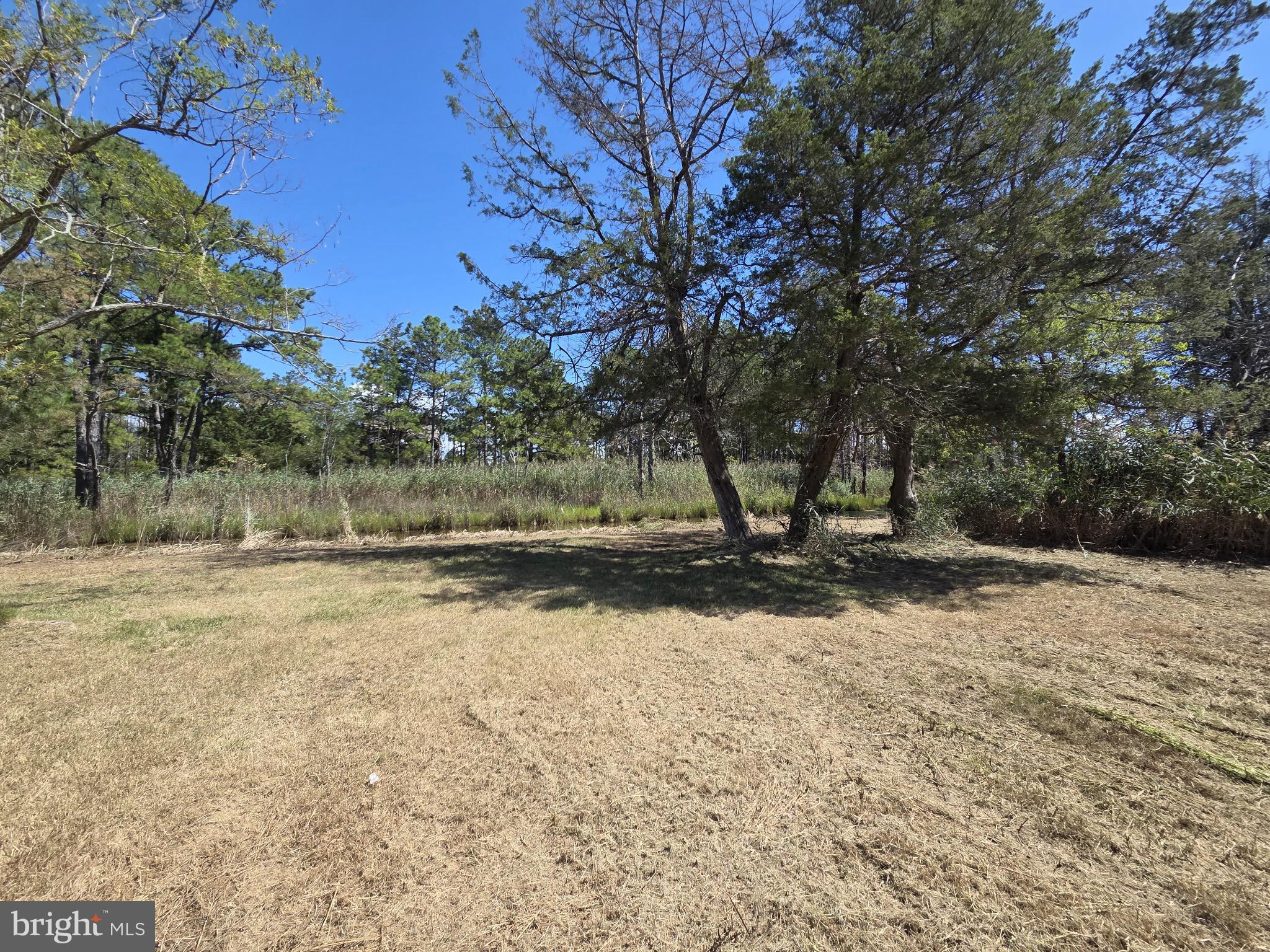 Brady Todd Road Crocheron, MD 21627 - Photo 17 of 111