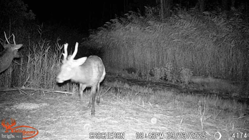 Brady Todd Road Crocheron, MD 21627 - Photo 20 of 111