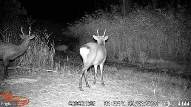 a view of a backyard with sitting area