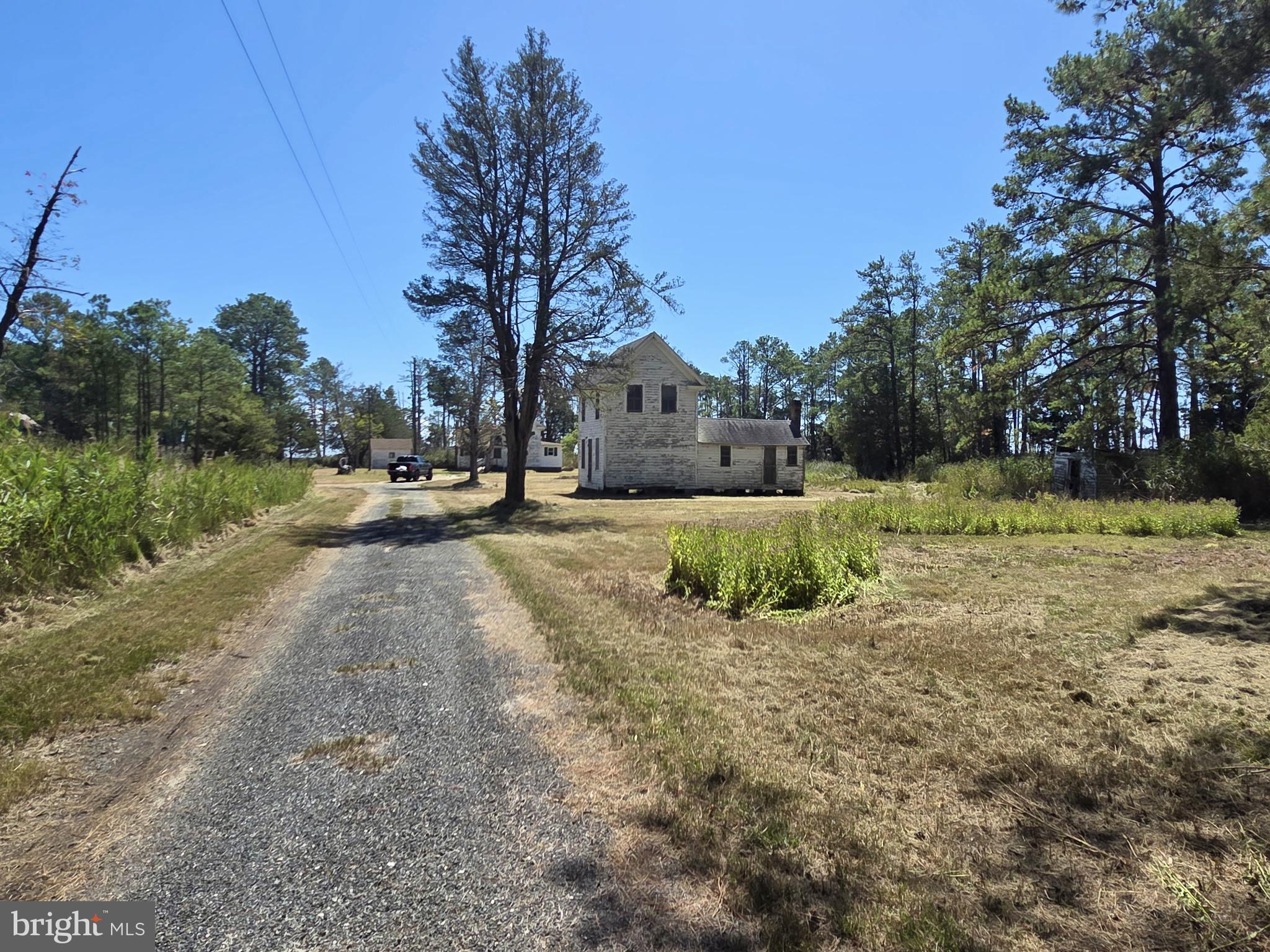 Brady Todd Road Crocheron, MD 21627 - Photo 27 of 111 a view of a yard with plants and trees