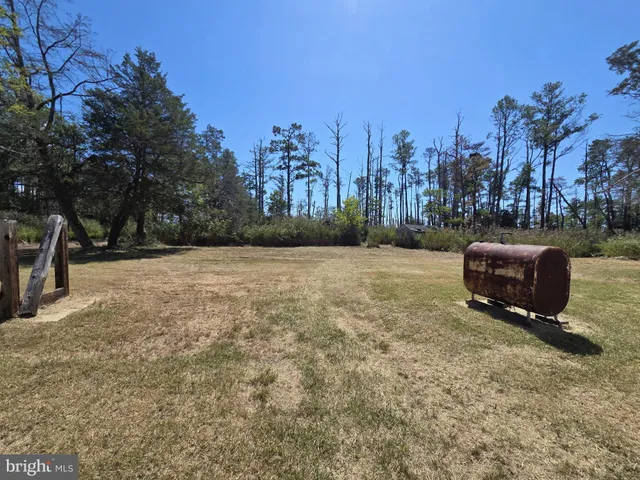 a backyard of a house with lots of plants and large tree