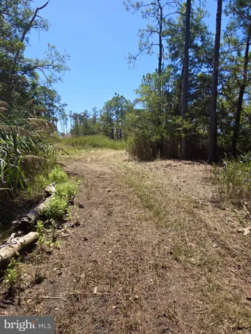 a view of a backyard of the house