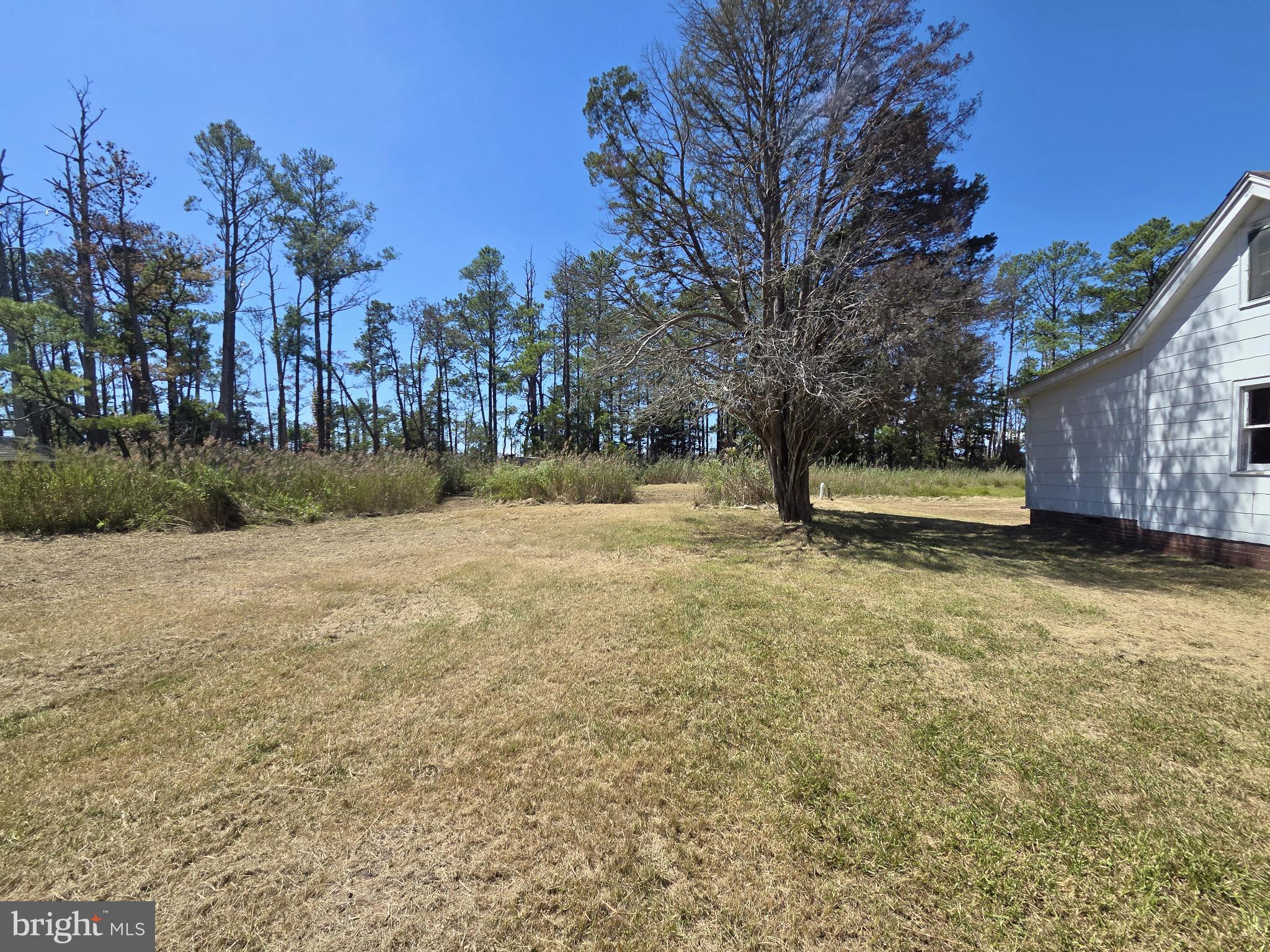 Brady Todd Road Crocheron, MD 21627 - Photo 42 of 111