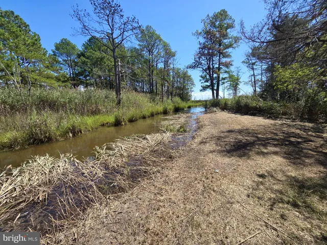 $375,000 | Brady Todd Road, Crocheron, MD 21627