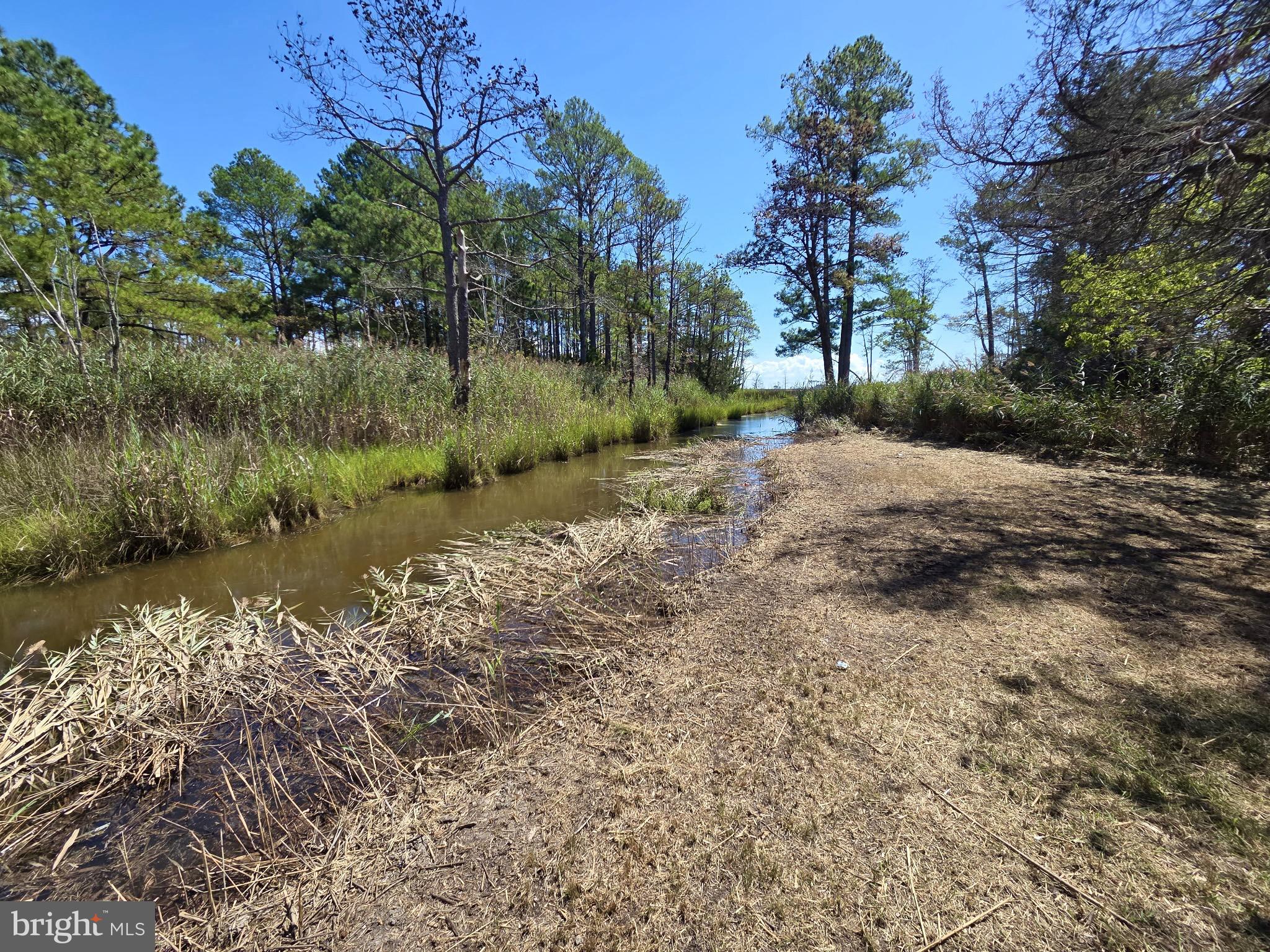 Brady Todd Road Crocheron, MD 21627 - Photo 44 of 111 a view of a lake with lots of green space