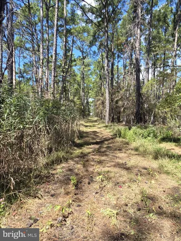 $375,000 | Brady Todd Road, Crocheron, MD 21627