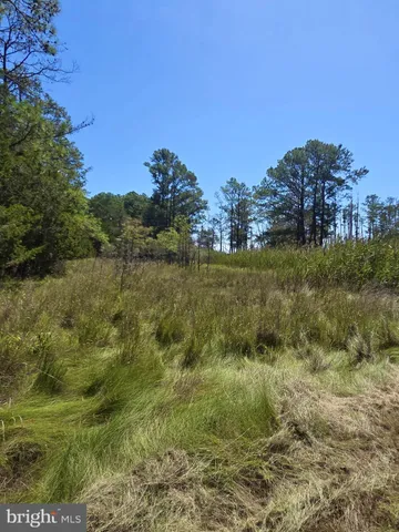 $375,000 | Brady Todd Road, Crocheron, MD 21627