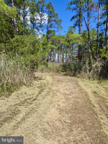 $375,000 | Brady Todd Road, Crocheron, MD 21627