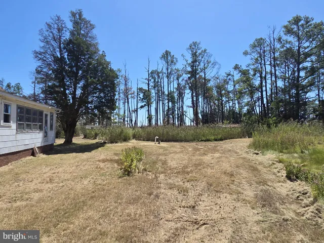 $375,000 | Brady Todd Road, Crocheron, MD 21627