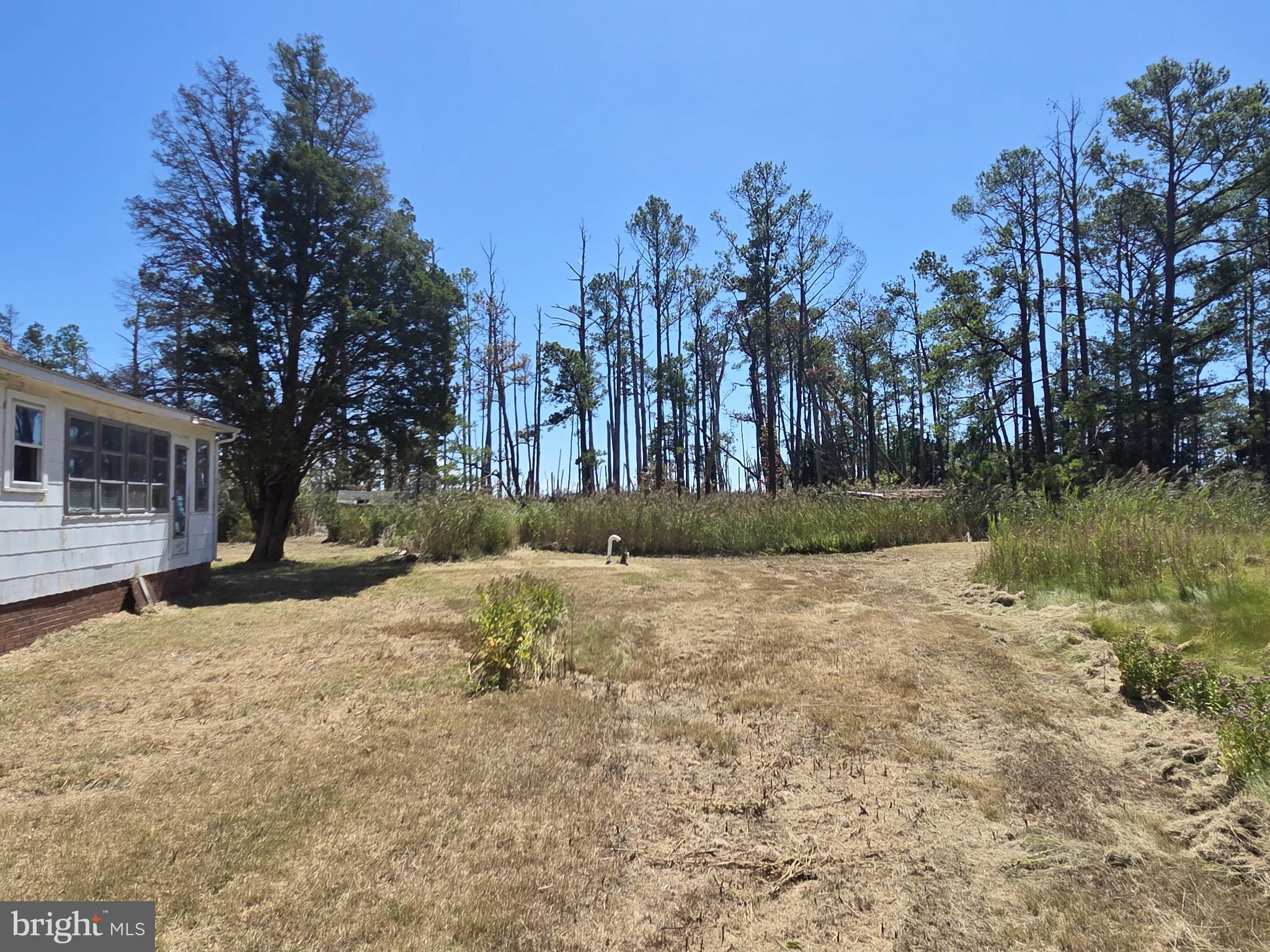 Brady Todd Road Crocheron, MD 21627 - Photo 56 of 111