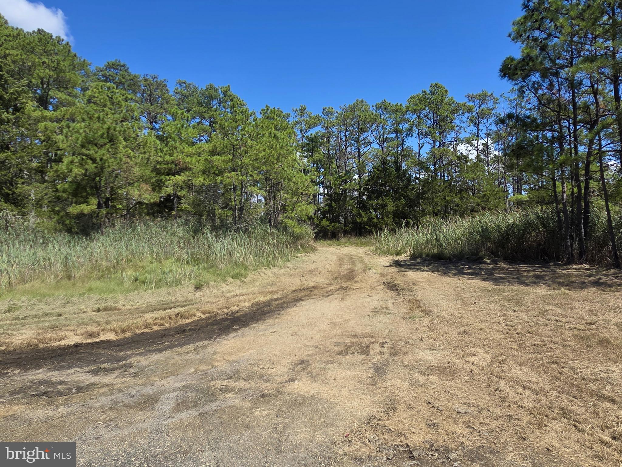 Brady Todd Road Crocheron, MD 21627 - Photo 59 of 111