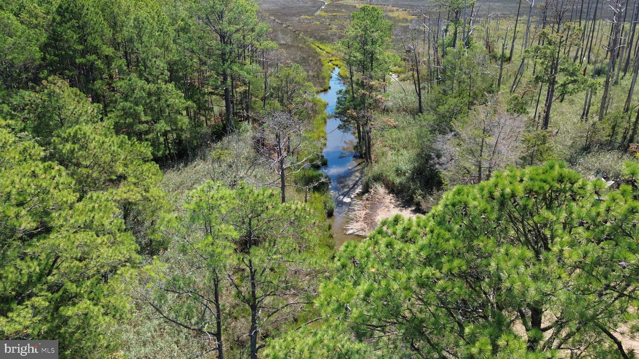 Brady Todd Road Crocheron, MD 21627 - Photo 6 of 111