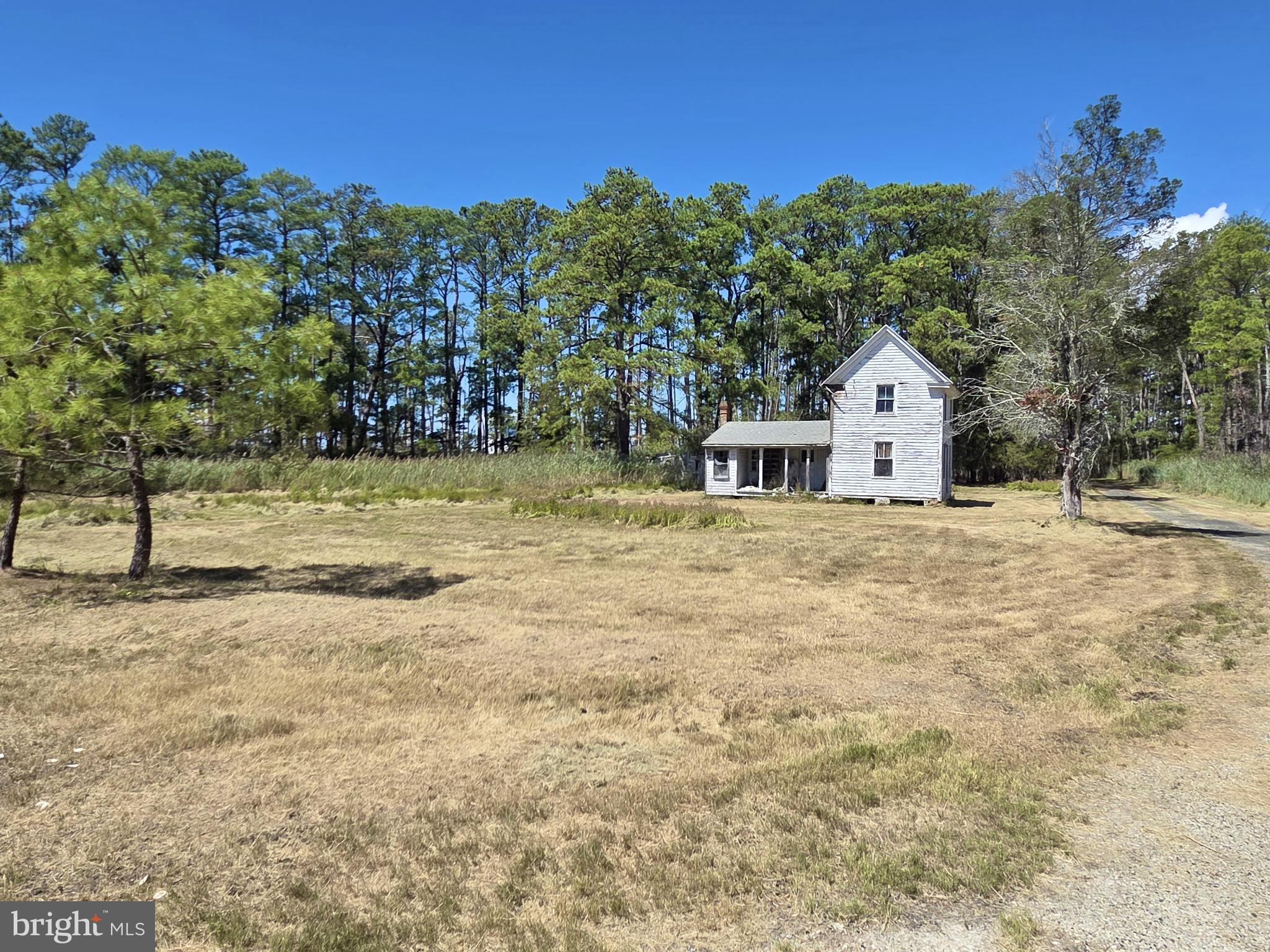 Brady Todd Road Crocheron, MD 21627 - Photo 62 of 111