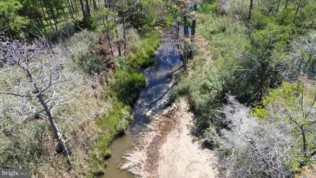 $375,000 | Brady Todd Road, Crocheron, MD 21627