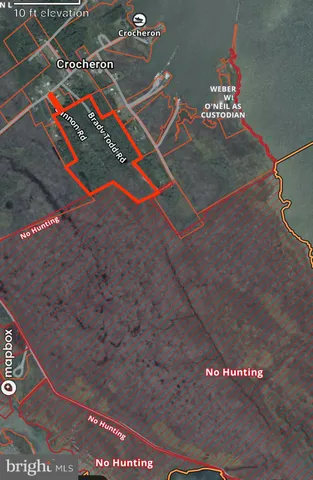 a view of a yard with plants and trees