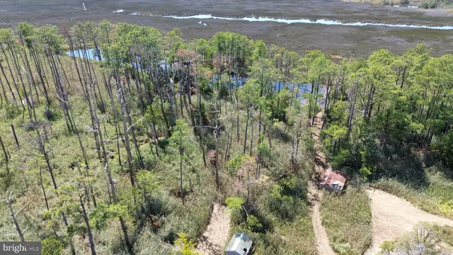 $375,000 | Brady Todd Road, Crocheron, MD 21627