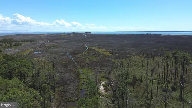 $375,000 | Brady Todd Road, Crocheron, MD 21627