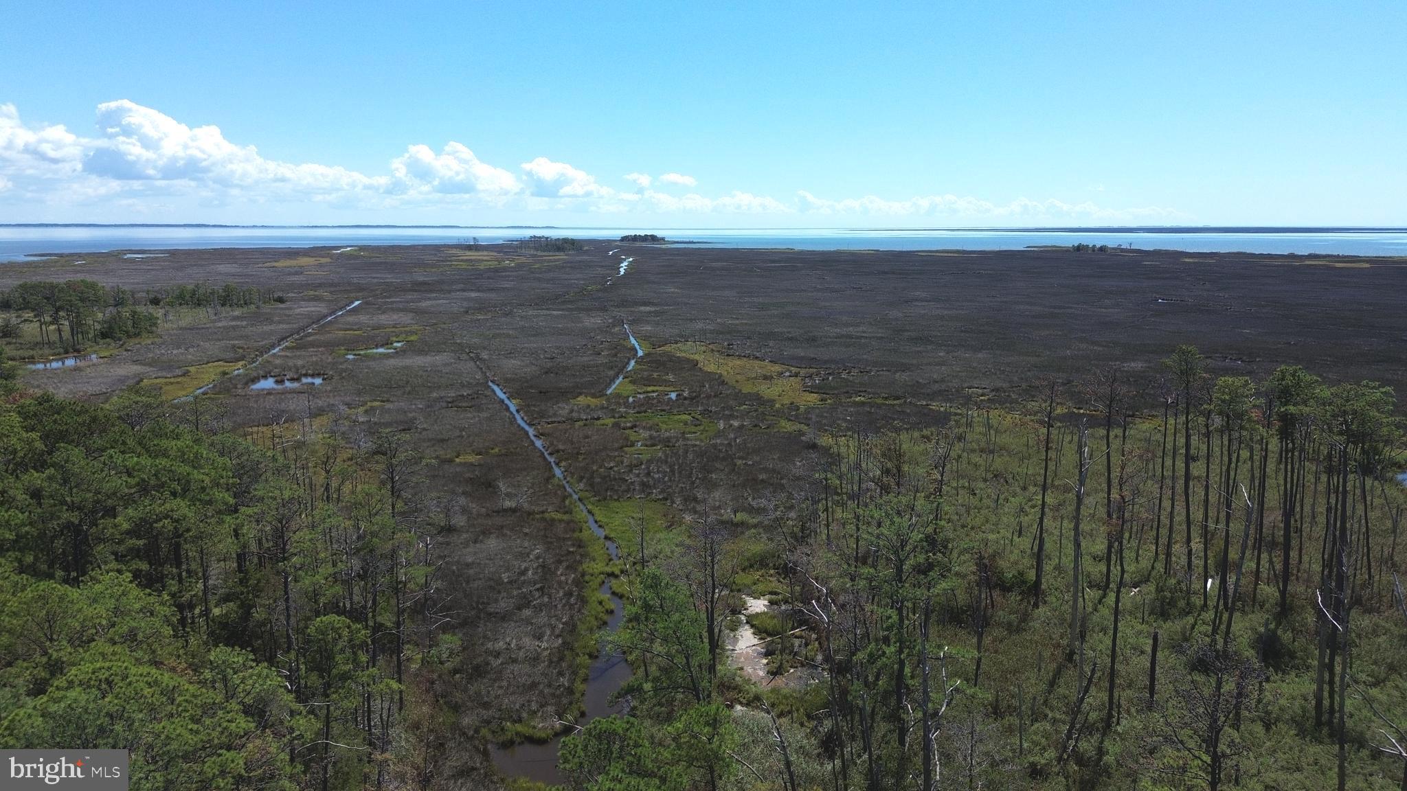 Brady Todd Road Crocheron, MD 21627 - Photo 73 of 111