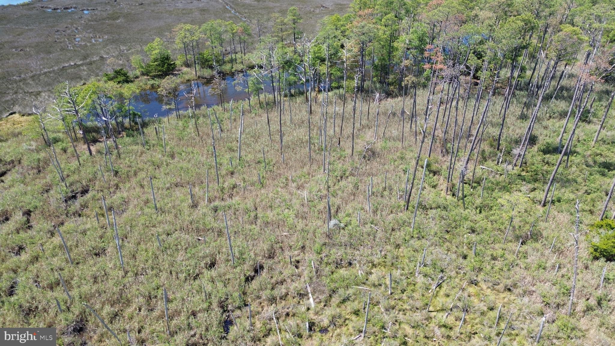 Brady Todd Road Crocheron, MD 21627 - Photo 74 of 111