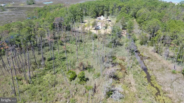 $375,000 | Brady Todd Road, Crocheron, MD 21627